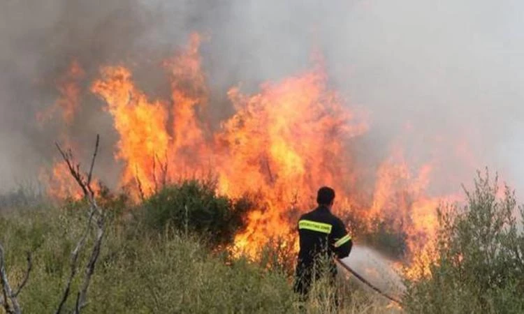 ΕΚΤΑΚΤΟ – Φωτιά και στην Κερατέα – Μεγάλη κινητοποίηση της Πυροσβεστικής